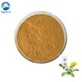 Herbal Extract 3% Flavone Dandelion Root Extract Powder